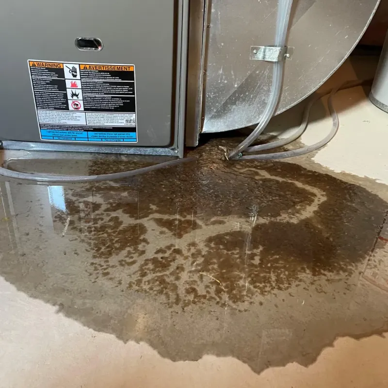 Appliance Leak Cleanup in Elgin, TX