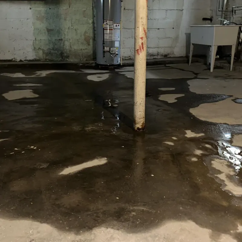 Emergency Water Extraction And Removal in Elgin, TX